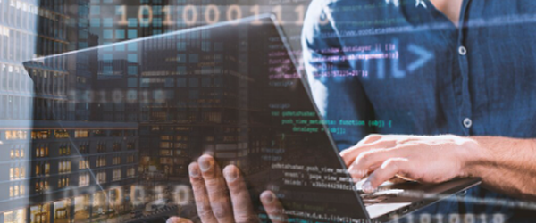 .XXX Domain Registration and DNS Activation Process - ICM Registry Membership Example